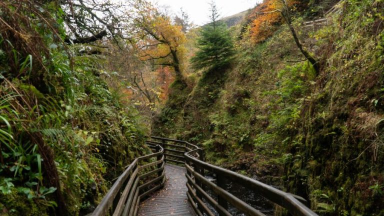 Nature Walks: A Metaphor for the Journey of Life