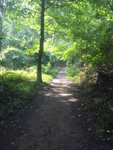 nature walks path