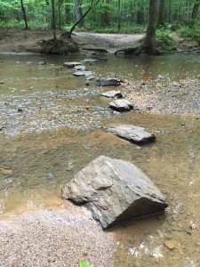 nature walks rocks in stream