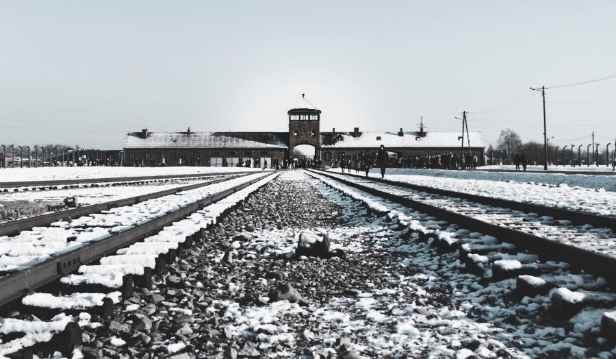Holocaust Survivor, Part 2